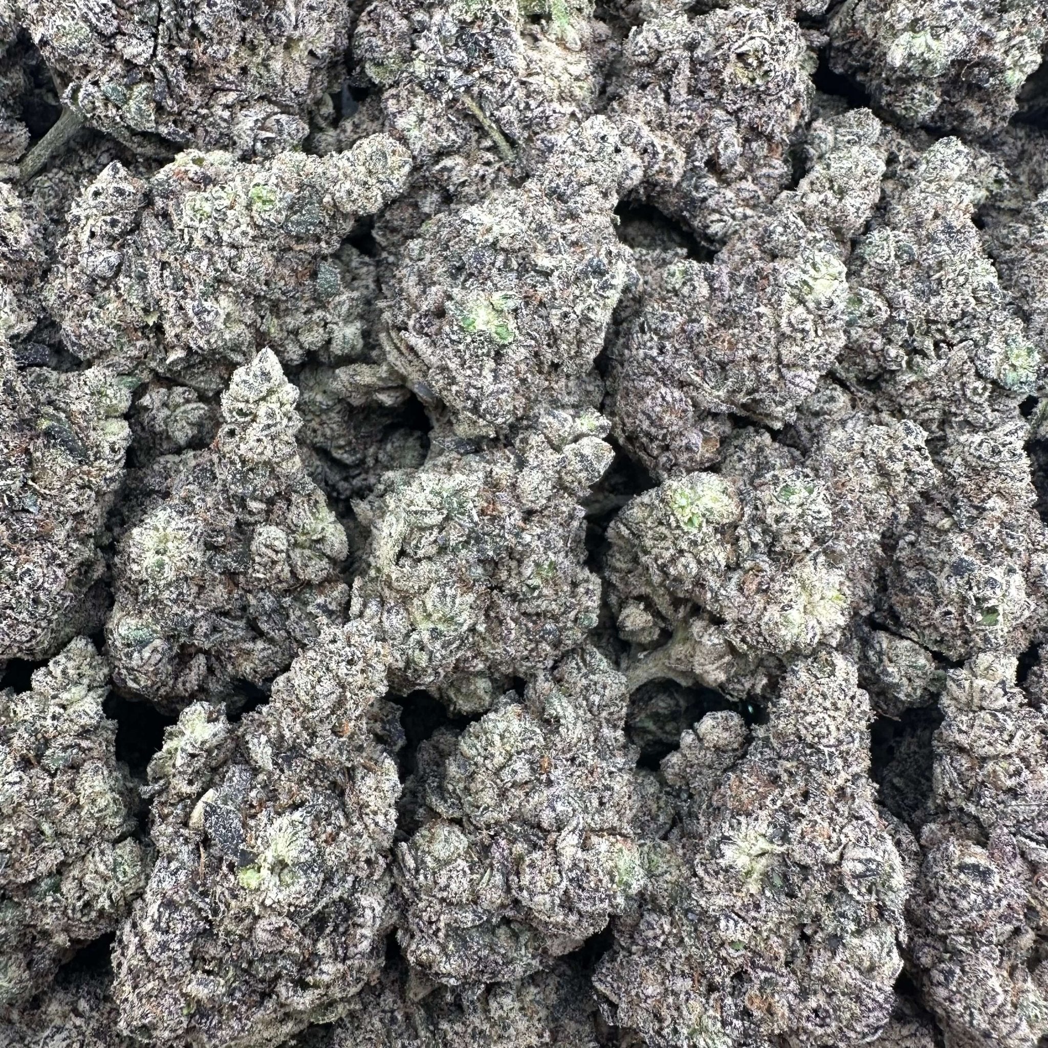 Fruity Pebbles Flower Wholesale