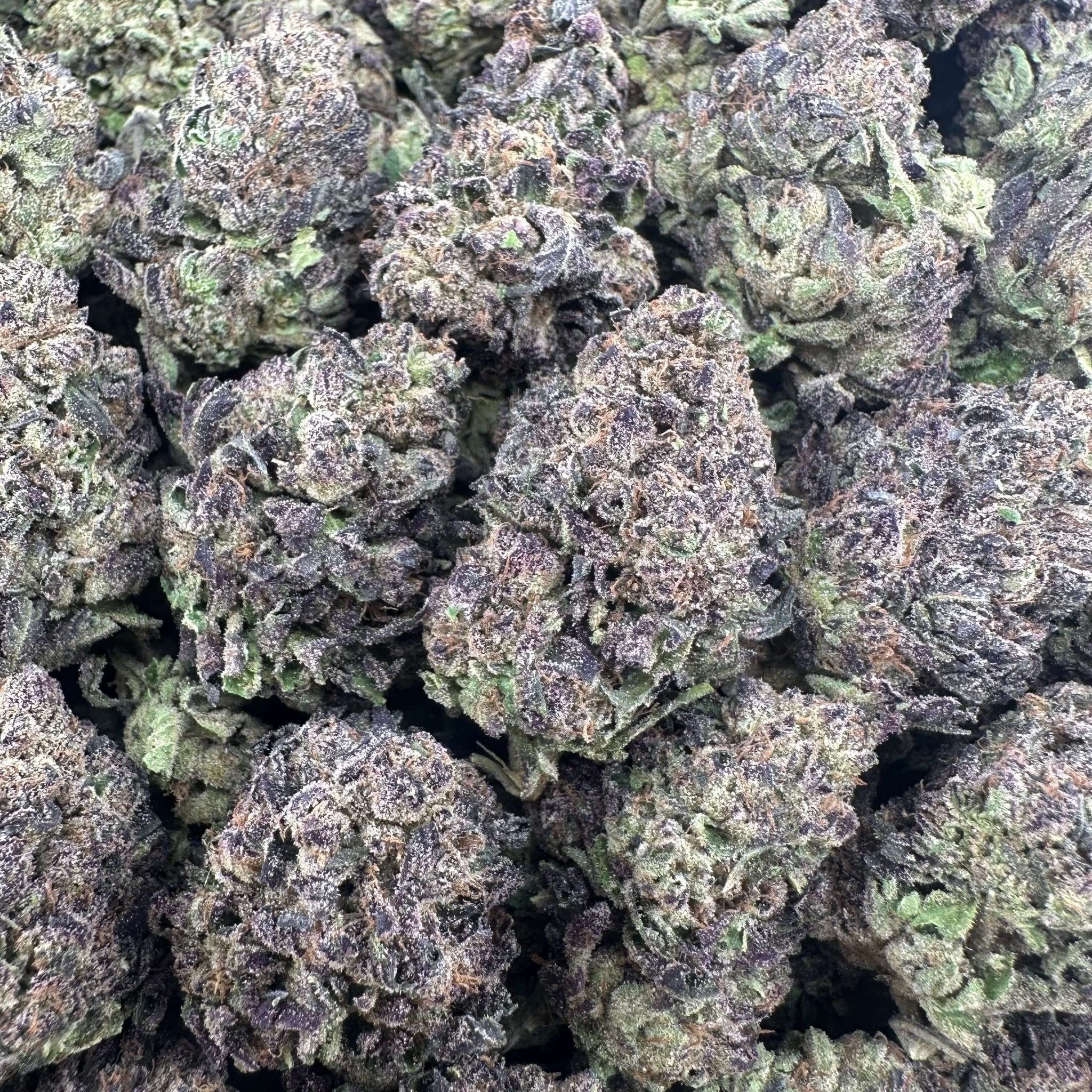 Runtz Flower Wholesale