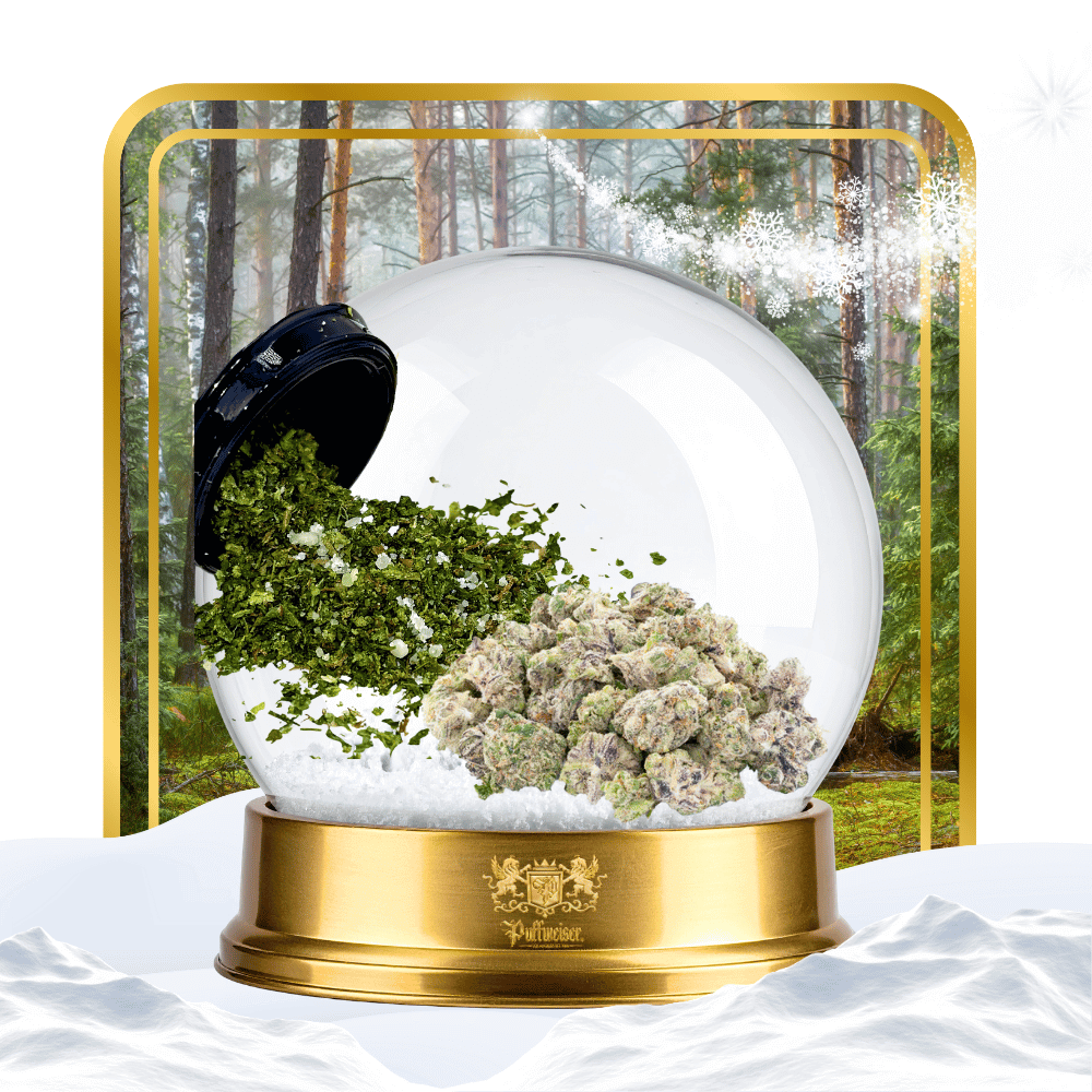 Sativa Effects Bundle