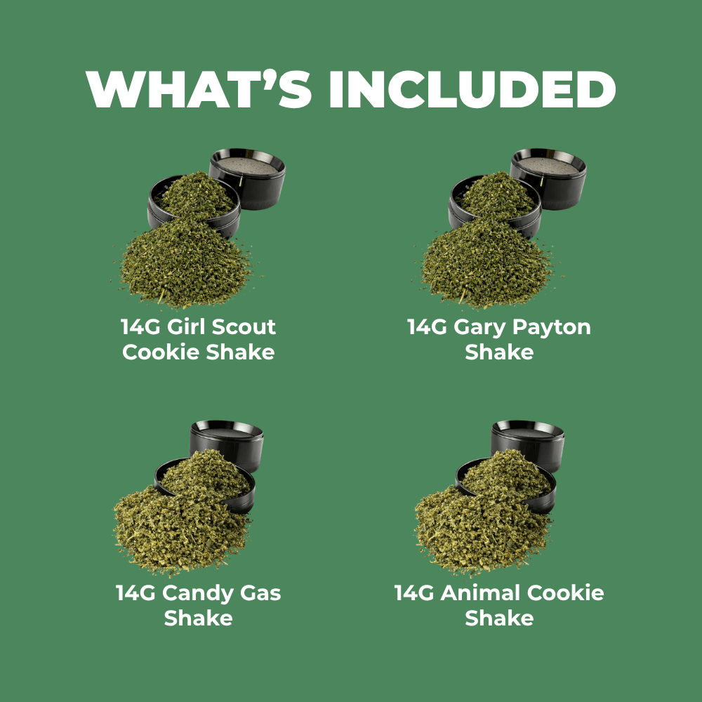 Shake Squad Bundle