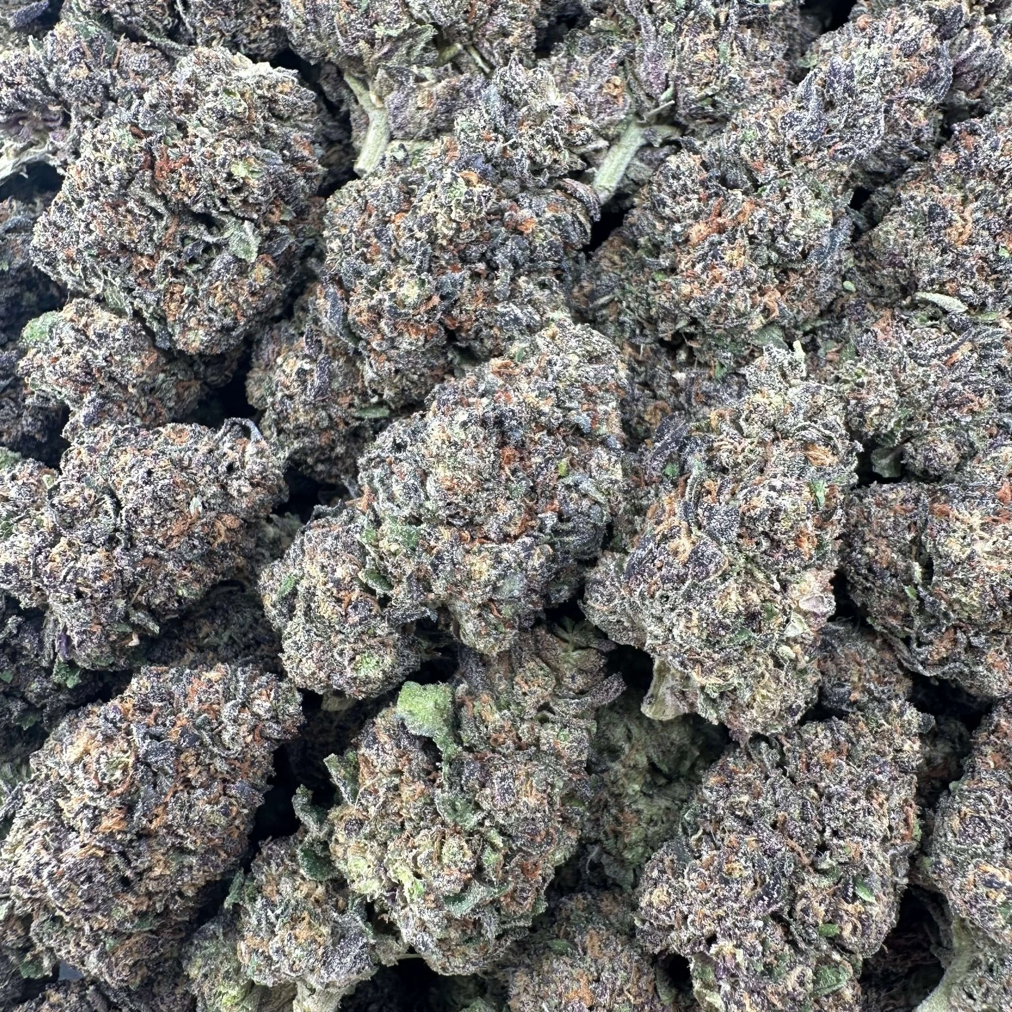 Tai Stick Flower Wholesale