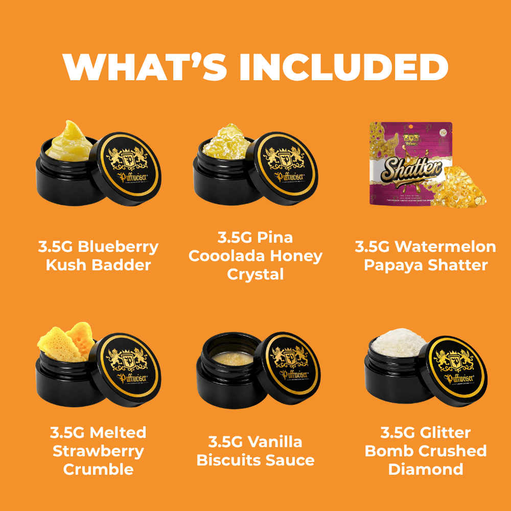🧪The Terp Lab Bundle