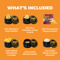 🧪The Terp Lab Bundle