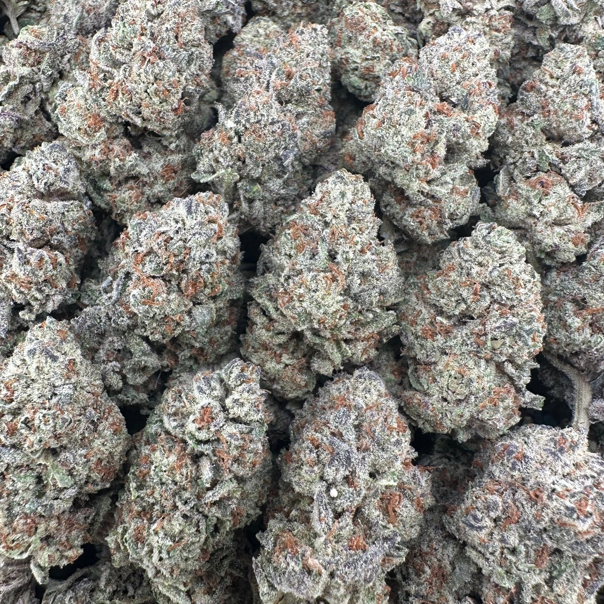 White Widow