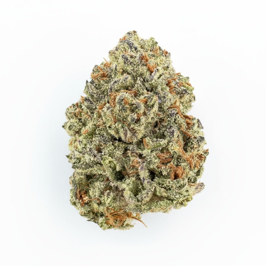 White Widow Flower Wholesale