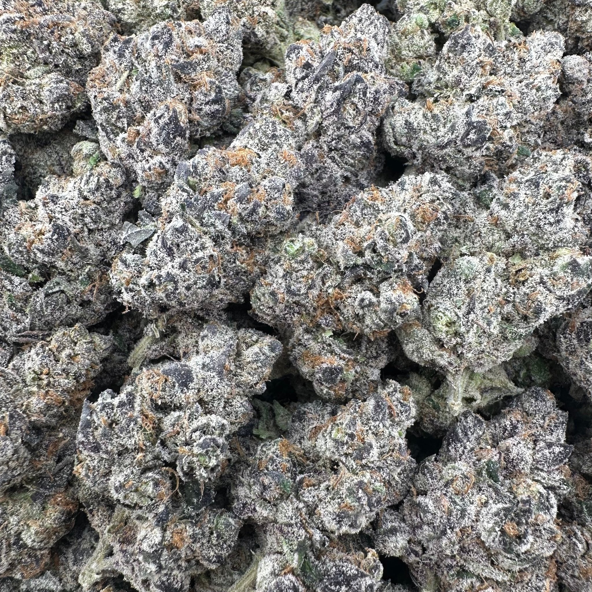 Zkittlez