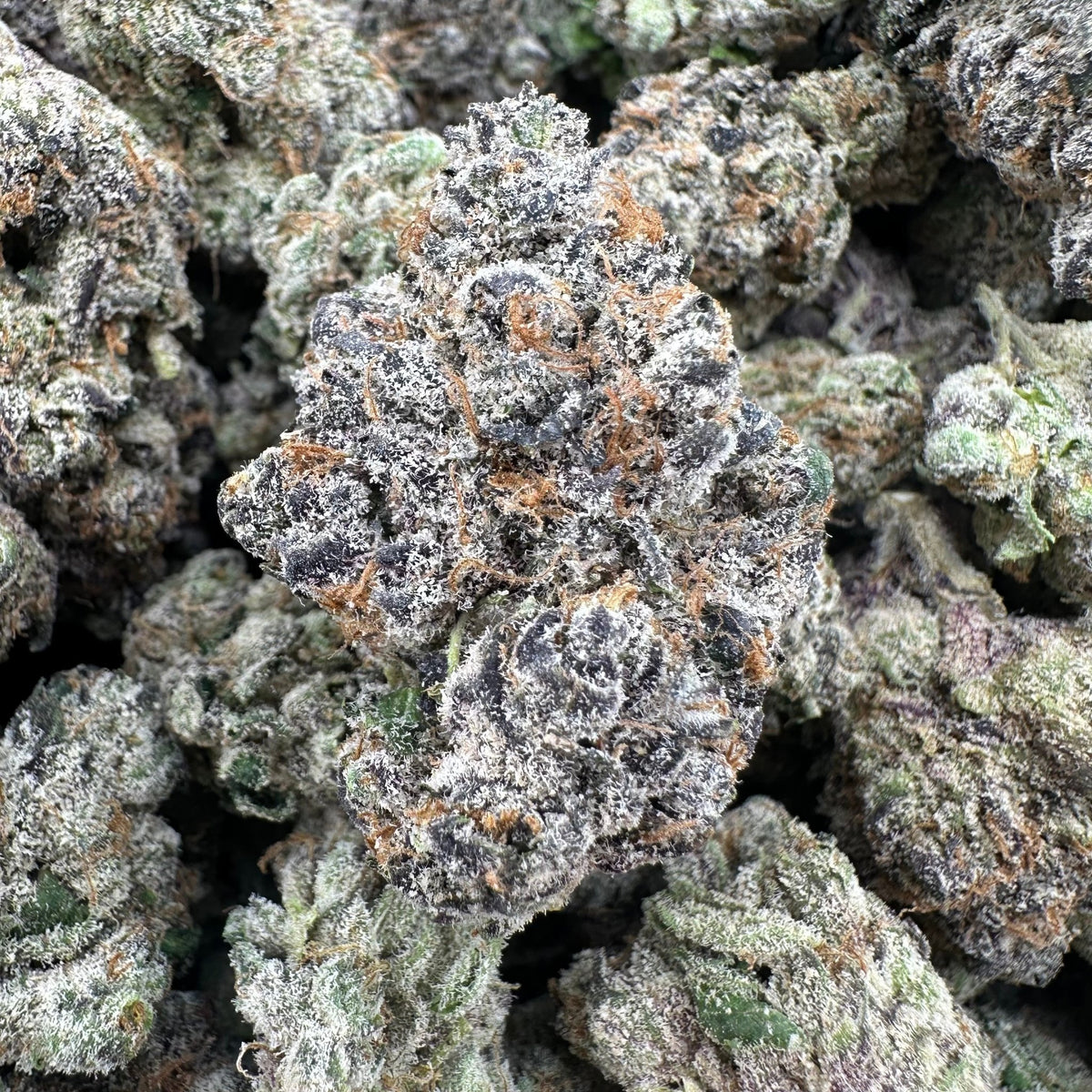 Zkittlez